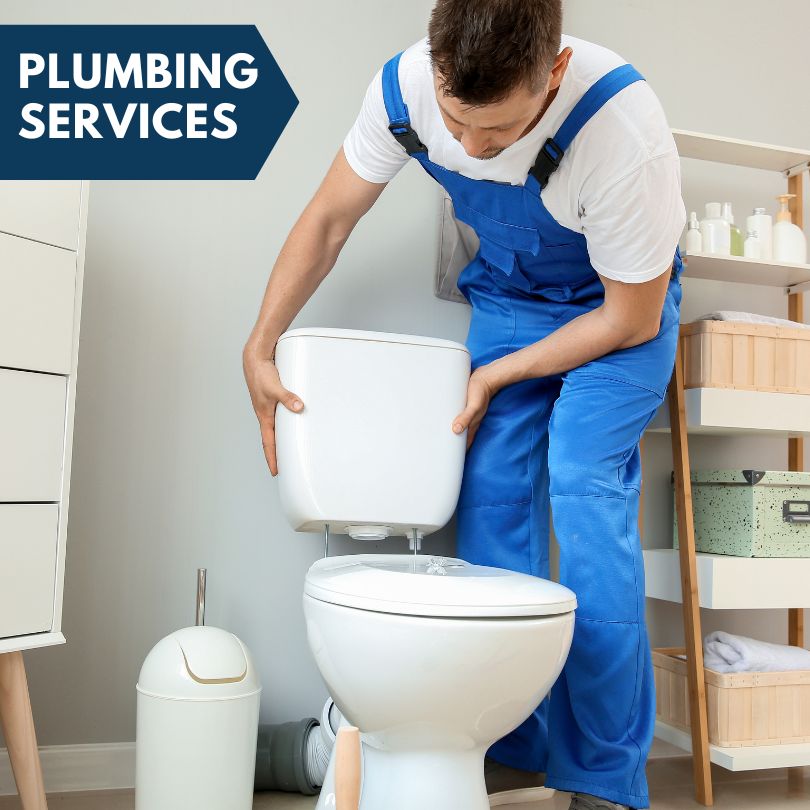 Plumbing Company in Pierson, MI